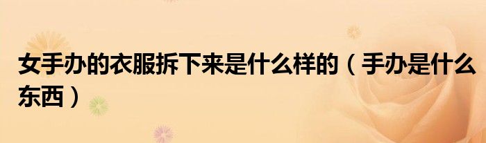 女手辦的衣服拆下來(lái)是什么樣的（手辦是什么東西）