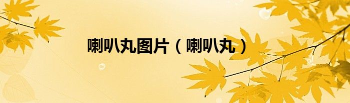 喇叭丸圖片（喇叭丸）