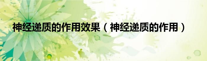 神經(jīng)遞質(zhì)的作用效果（神經(jīng)遞質(zhì)的作用）