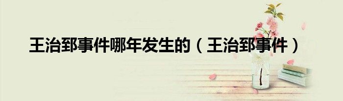王治郅事件哪年發(fā)生的（王治郅事件）