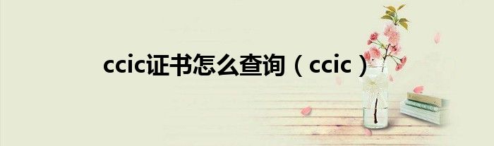 ccic證書怎么查詢（ccic）
