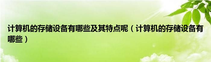 計(jì)算機(jī)的存儲(chǔ)設(shè)備有哪些及其特點(diǎn)呢（計(jì)算機(jī)的存儲(chǔ)設(shè)備有哪些）