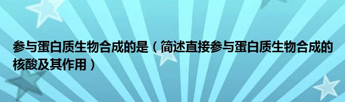 參與蛋白質(zhì)生物合成的是（簡述直接參與蛋白質(zhì)生物合成的核酸及其作用）