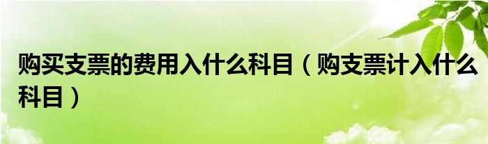 購買支票的費(fèi)用入什么科目（購支票計(jì)入什么科目）