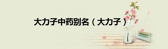 大力子中藥別名（大力子）
