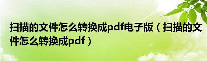 掃描的文件怎么轉(zhuǎn)換成pdf電子版（掃描的文件怎么轉(zhuǎn)換成pdf）
