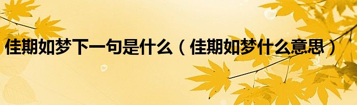 佳期如夢下一句是什么（佳期如夢什么意思）