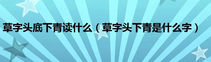 草字頭底下青讀什么（草字頭下青是什么字）