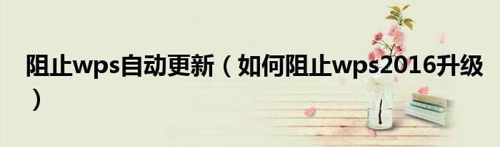 阻止wps自動更新（如何阻止wps2016升級）