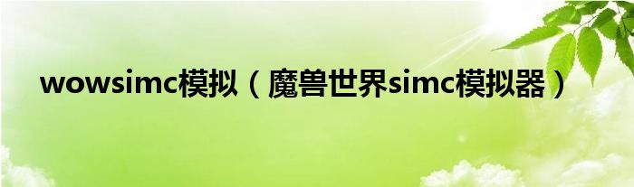 wowsimc模擬（魔獸世界simc模擬器）