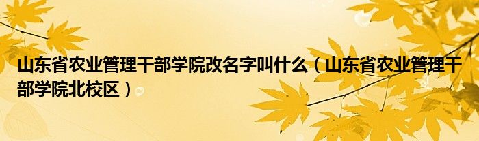 山東省農(nóng)業(yè)管理干部學(xué)院改名字叫什么（山東省農(nóng)業(yè)管理干部學(xué)院北校區(qū)）