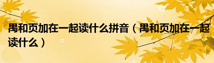 禺和頁加在一起讀什么拼音（禺和頁加在一起讀什么）