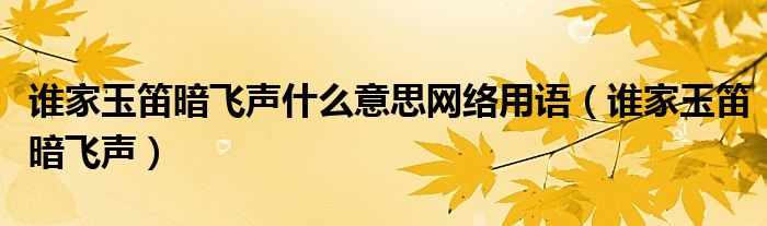 誰家玉笛暗飛聲什么意思網(wǎng)絡(luò)用語（誰家玉笛暗飛聲）