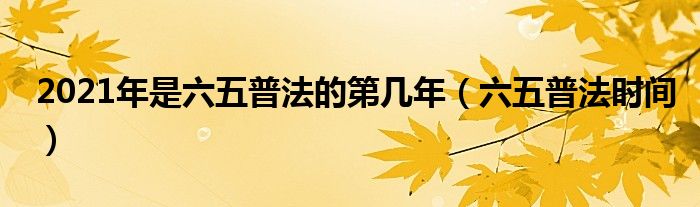 2021年是六五普法的第幾年（六五普法時間）