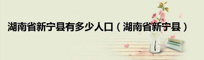 湖南省新寧縣有多少人口（湖南省新寧縣）