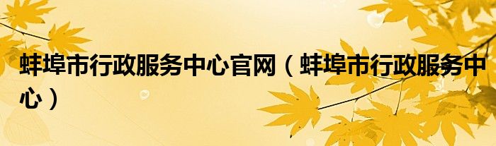 蚌埠市行政服務(wù)中心官網(wǎng)（蚌埠市行政服務(wù)中心）