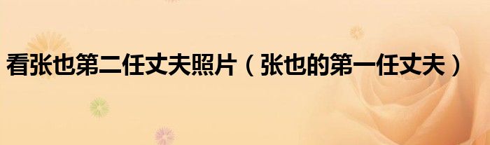 看張也第二任丈夫照片（張也的第一任丈夫）