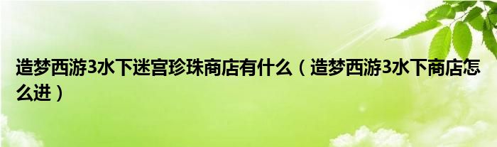 造夢(mèng)西游3水下迷宮珍珠商店有什么（造夢(mèng)西游3水下商店怎么進(jìn)）