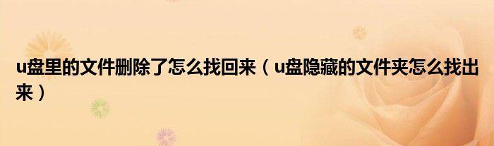 u盤里的文件刪除了怎么找回來（u盤隱藏的文件夾怎么找出來）