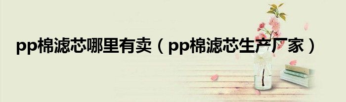 pp棉濾芯哪里有賣（pp棉濾芯生產(chǎn)廠家）