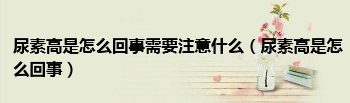 尿素高是怎么回事需要注意什么（尿素高是怎么回事）