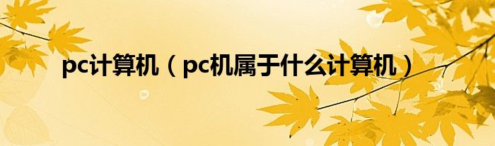 pc計(jì)算機(jī)（pc機(jī)屬于什么計(jì)算機(jī)）