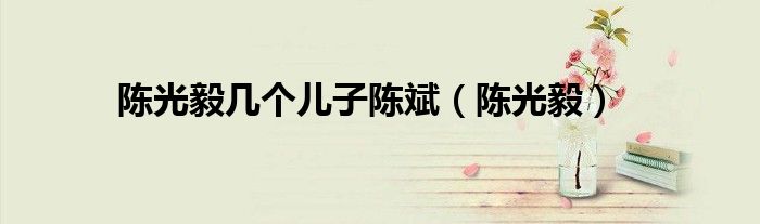 陳光毅幾個兒子陳斌（陳光毅）