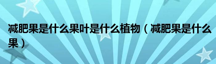 減肥果是什么果葉是什么植物（減肥果是什么果）