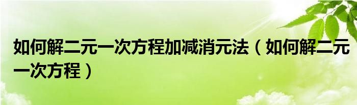 如何解二元一次方程加減消元法（如何解二元一次方程）