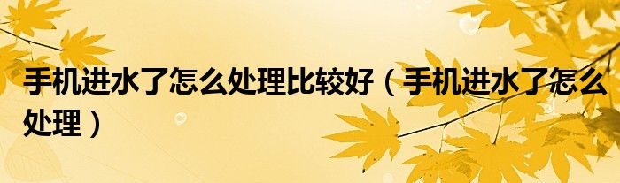 手機(jī)進(jìn)水了怎么處理比較好（手機(jī)進(jìn)水了怎么處理）