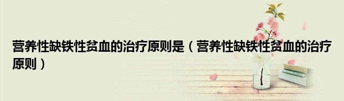 營養(yǎng)性缺鐵性貧血的治療原則是（營養(yǎng)性缺鐵性貧血的治療原則）