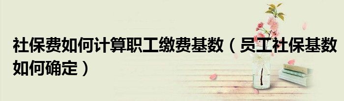 社保費(fèi)如何計(jì)算職工繳費(fèi)基數(shù)（員工社?；鶖?shù)如何確定）