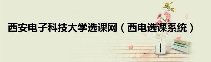 西安電子科技大學選課網（西電選課系統(tǒng)）