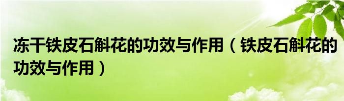 凍干鐵皮石斛花的功效與作用（鐵皮石斛花的功效與作用）