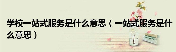 學(xué)校一站式服務(wù)是什么意思（一站式服務(wù)是什么意思）