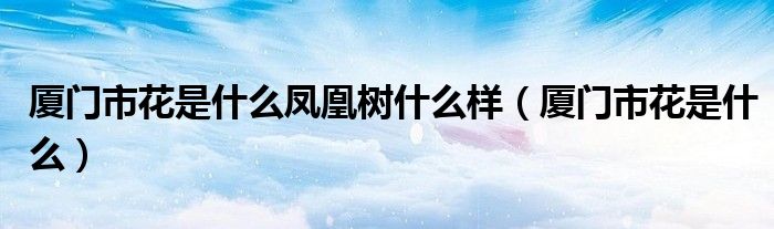 廈門市花是什么鳳凰樹什么樣（廈門市花是什么）