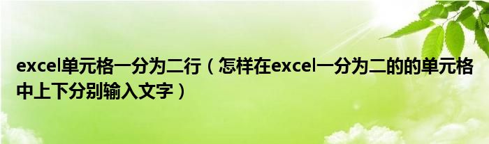excel單元格一分為二行（怎樣在excel一分為二的的單元格中上下分別輸入文字）