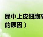尿中上皮細(xì)胞高是什么原因（尿上皮細(xì)胞偏高的原因）
