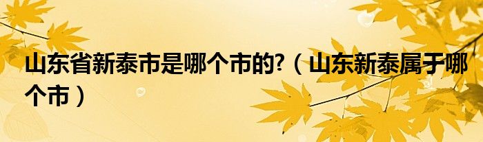 山東省新泰市是哪個(gè)市的?（山東新泰屬于哪個(gè)市）