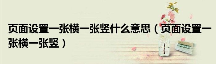 頁面設(shè)置一張橫一張豎什么意思（頁面設(shè)置一張橫一張豎）