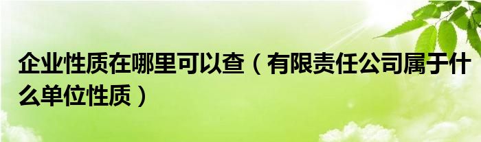企業(yè)性質(zhì)在哪里可以查（有限責(zé)任公司屬于什么單位性質(zhì)）