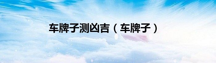 車牌子測兇吉（車牌子）