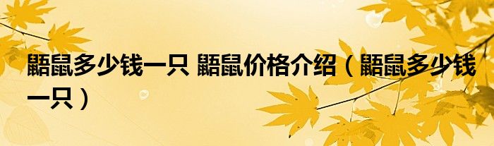 鼯鼠多少錢(qián)一只 鼯鼠價(jià)格介紹（鼯鼠多少錢(qián)一只）