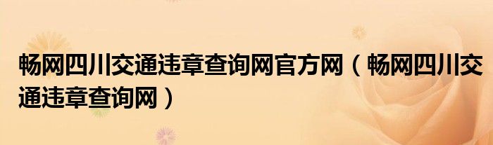 暢網(wǎng)四川交通違章查詢網(wǎng)官方網(wǎng)（暢網(wǎng)四川交通違章查詢網(wǎng)）