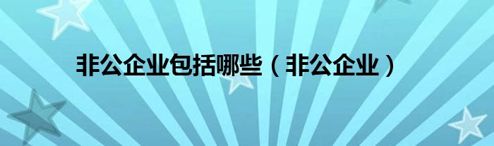 非公企業(yè)包括哪些（非公企業(yè)）