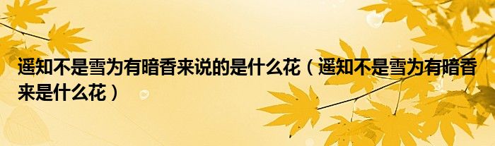遙知不是雪為有暗香來(lái)說(shuō)的是什么花（遙知不是雪為有暗香來(lái)是什么花）