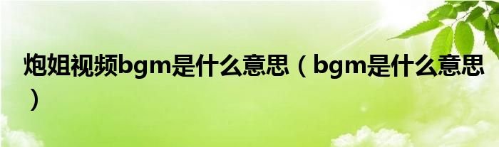 炮姐視頻bgm是什么意思（bgm是什么意思）