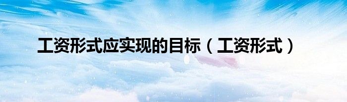 工資形式應(yīng)實(shí)現(xiàn)的目標(biāo)（工資形式）