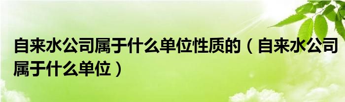 自來水公司屬于什么單位性質(zhì)的（自來水公司屬于什么單位）