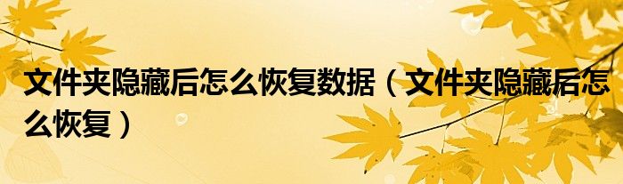 文件夾隱藏后怎么恢復(fù)數(shù)據(jù)（文件夾隱藏后怎么恢復(fù)）
